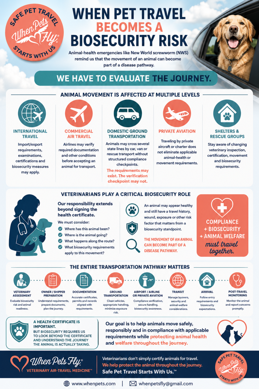 Animal-Health Emergencies Remind Us That Pet Travel Is About More Than a Health Certificate