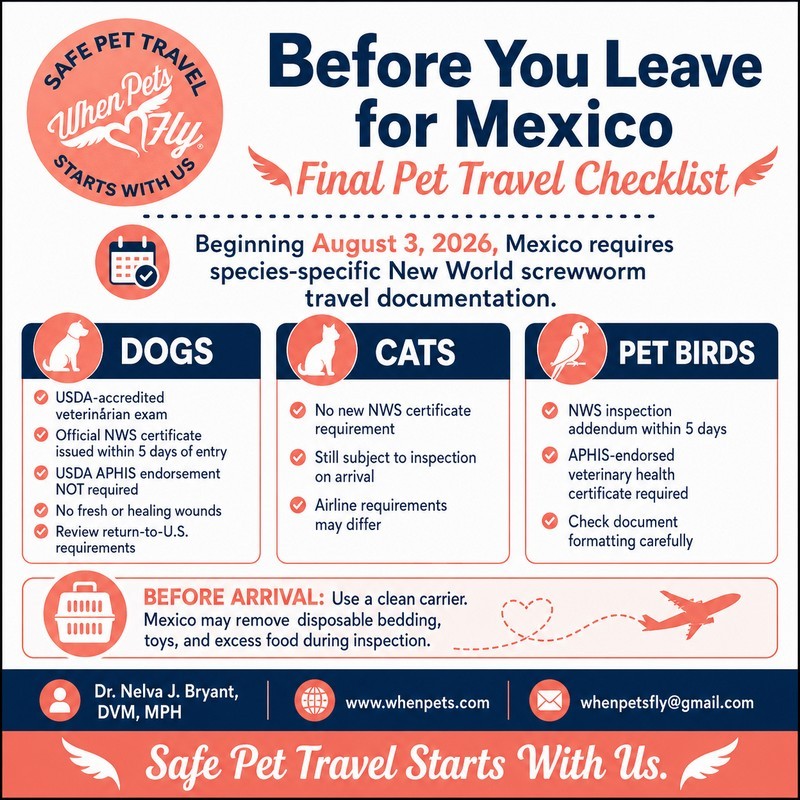 Before You Leave for Mexico